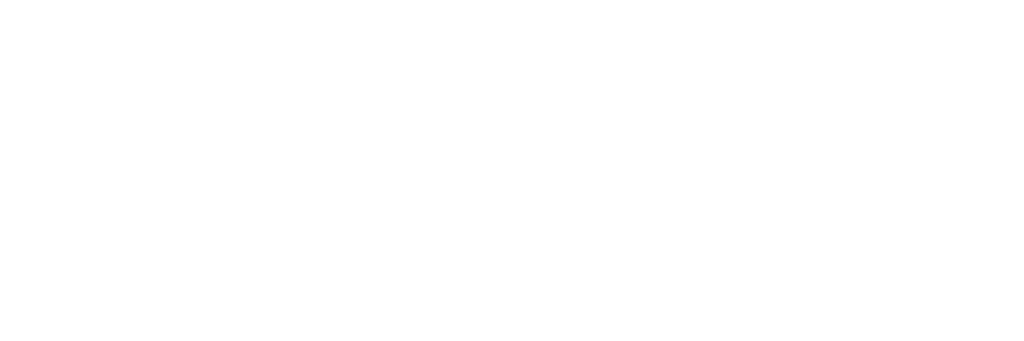 Facebook logo-white