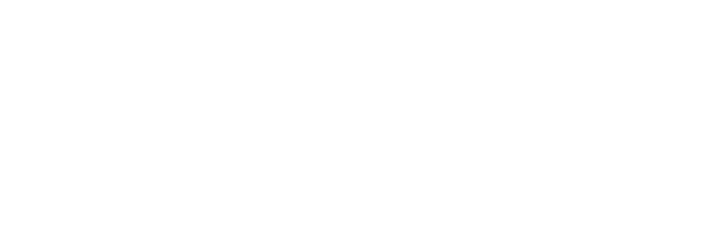 Google logo-white